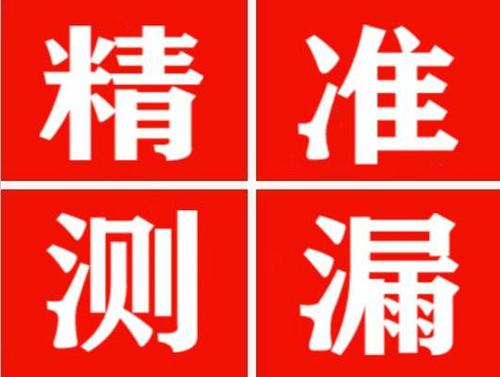 桃源尚嘉漏水精准查找
